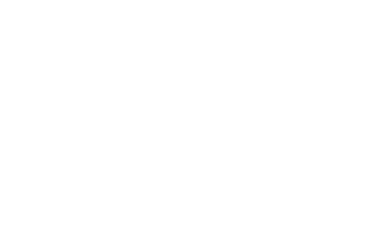 The Eco Gang 